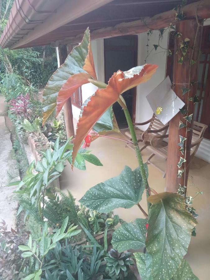 Supipi Homestay Ella Exterior photo