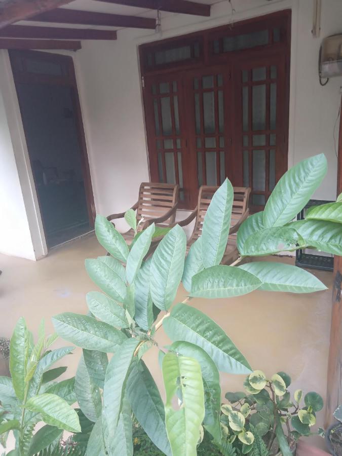 Supipi Homestay Ella Exterior photo
